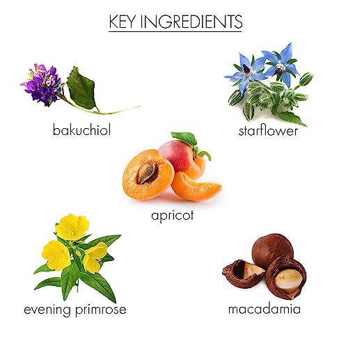 Whish Bakuchiol oil dropper enables precise application and smooth skin absorption.