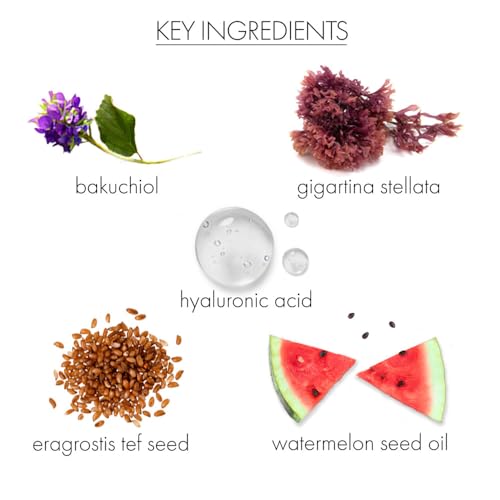 Whish Neck Firming Cream ingredients-tef-stem highlights firming botanicals for support.