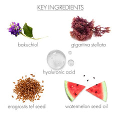 Whish Neck Firming Cream ingredients-tef-stem highlights firming botanicals for support.