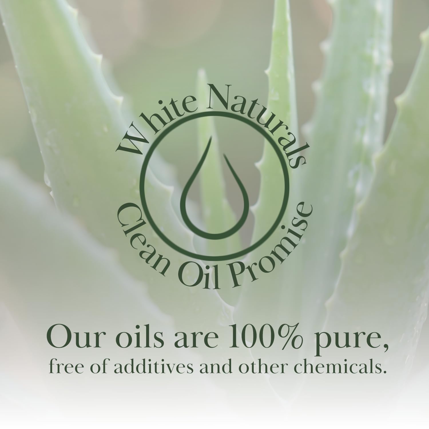 White Naturals Aloe Vera Oil is suitable for baby care routines when used correctly.