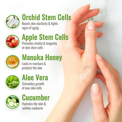 Wild Naturals Aloe Vera Gel – texture transparente qui pénètre rapidement