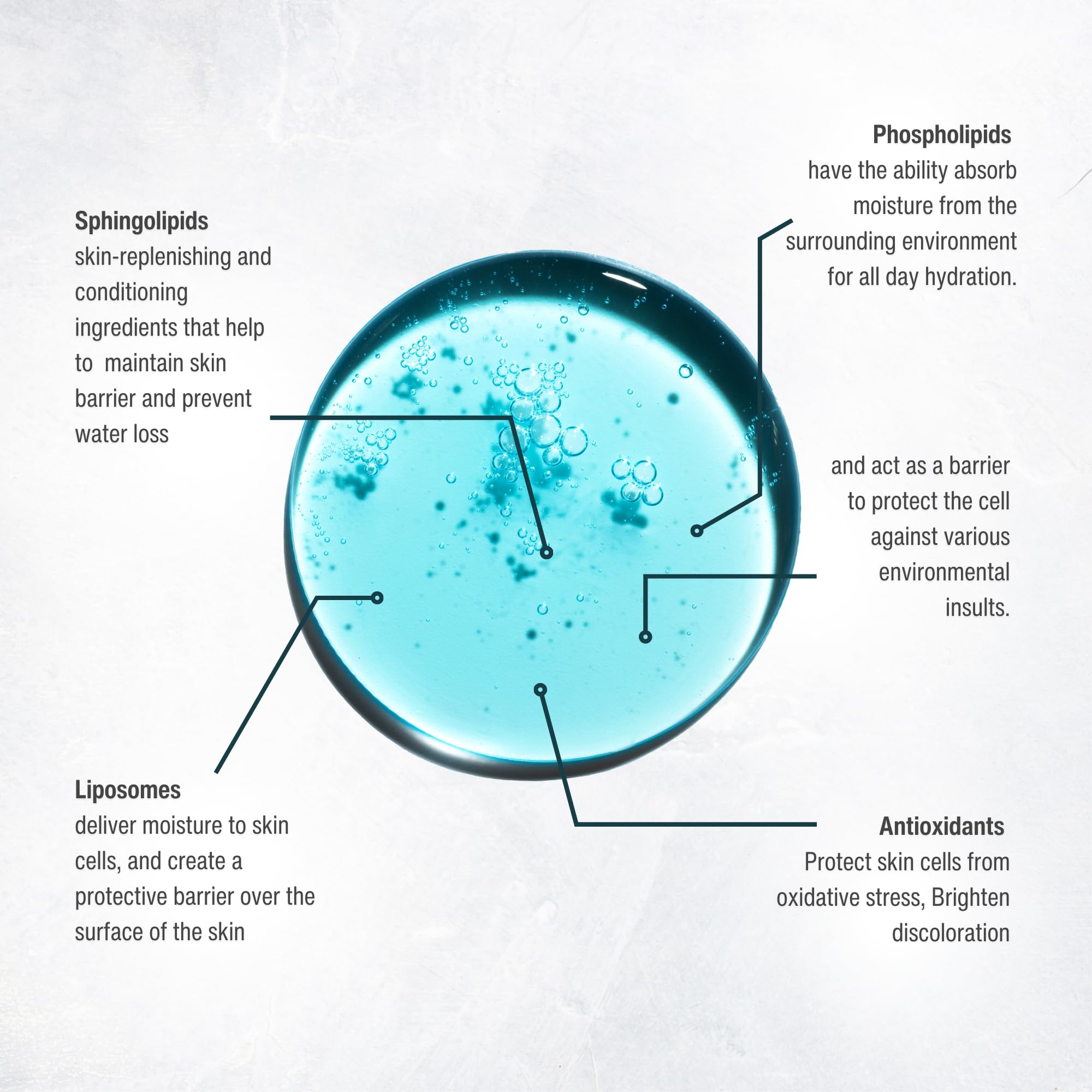 Phospholipid-rich Oxygen Serum ingredients promoting deep hydration