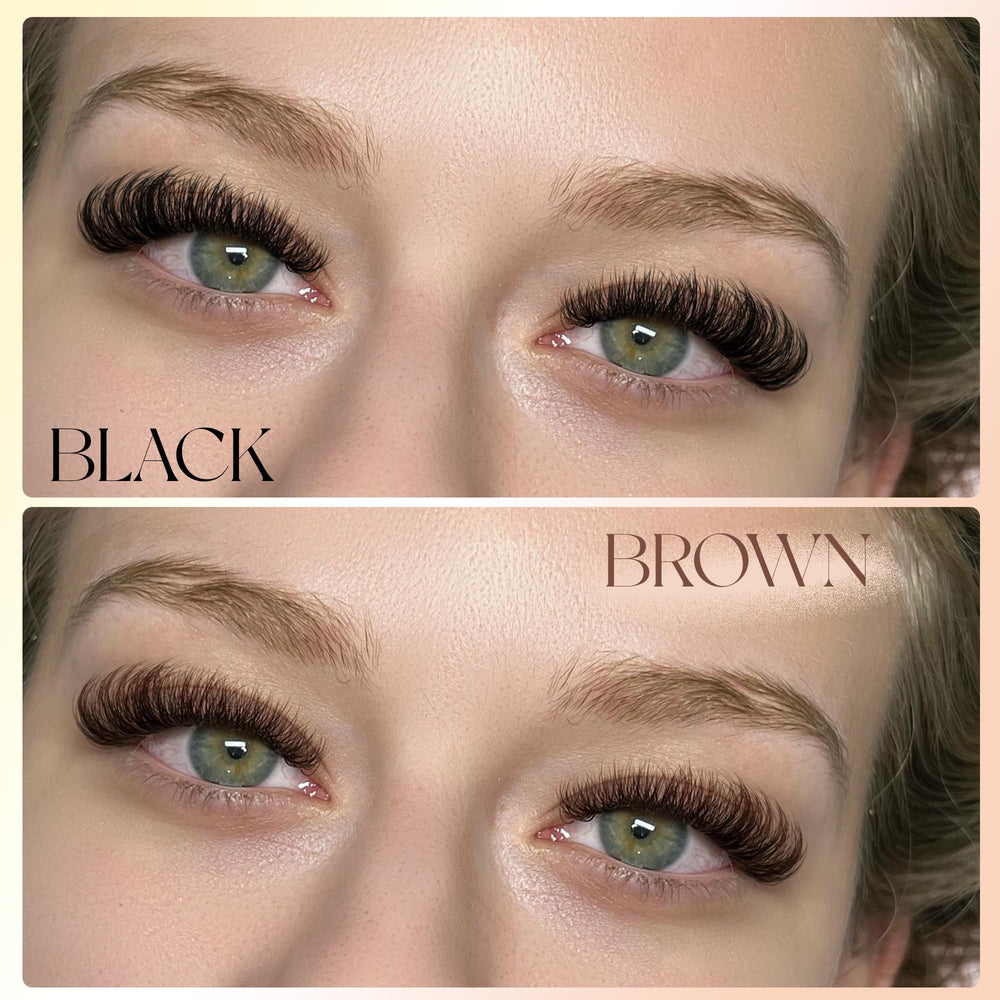 Winifred brown lash clusters compact pack ideal for DIY extensions