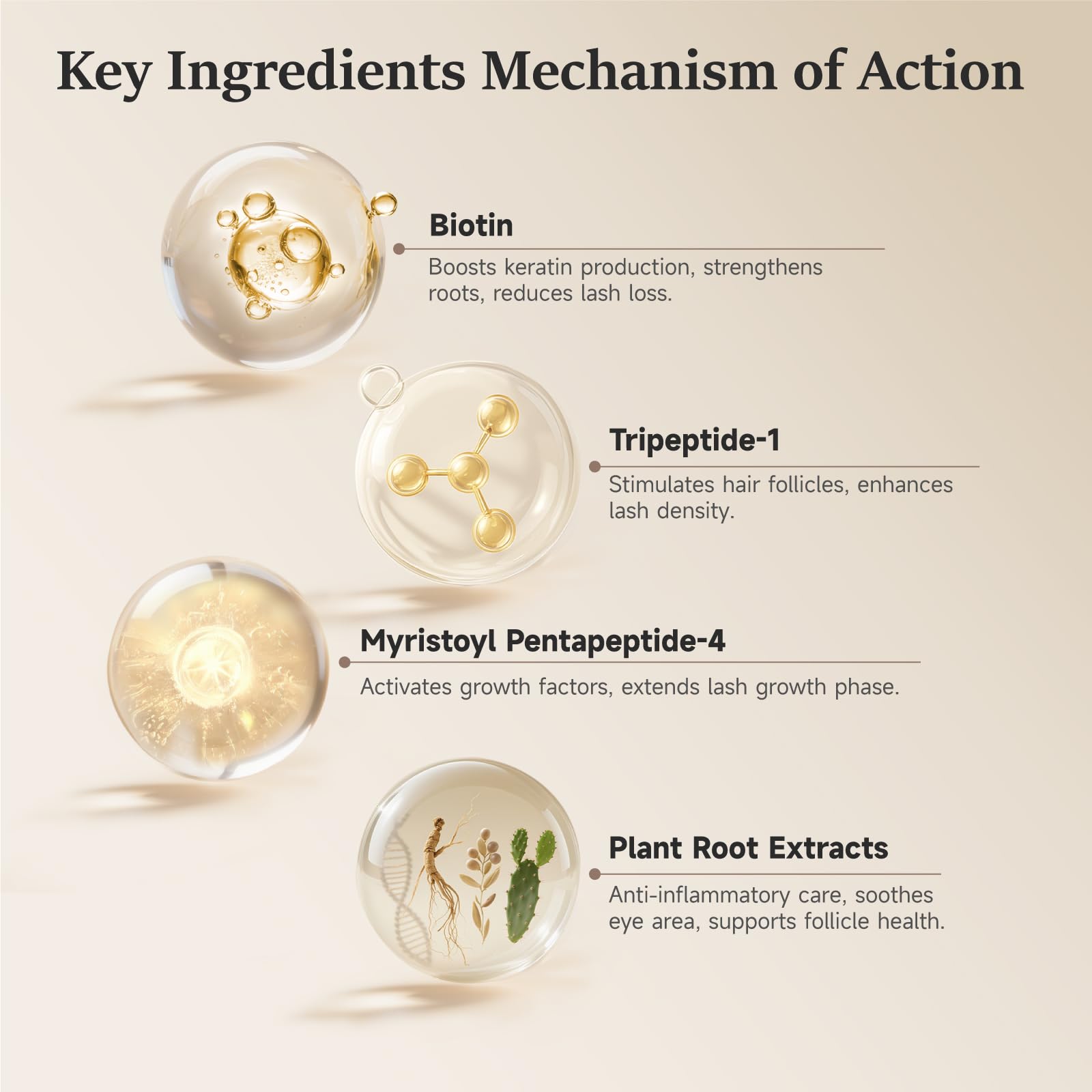 Botanical ingredients panel of WM Western Miracle lash serum with peptides and amino acids.