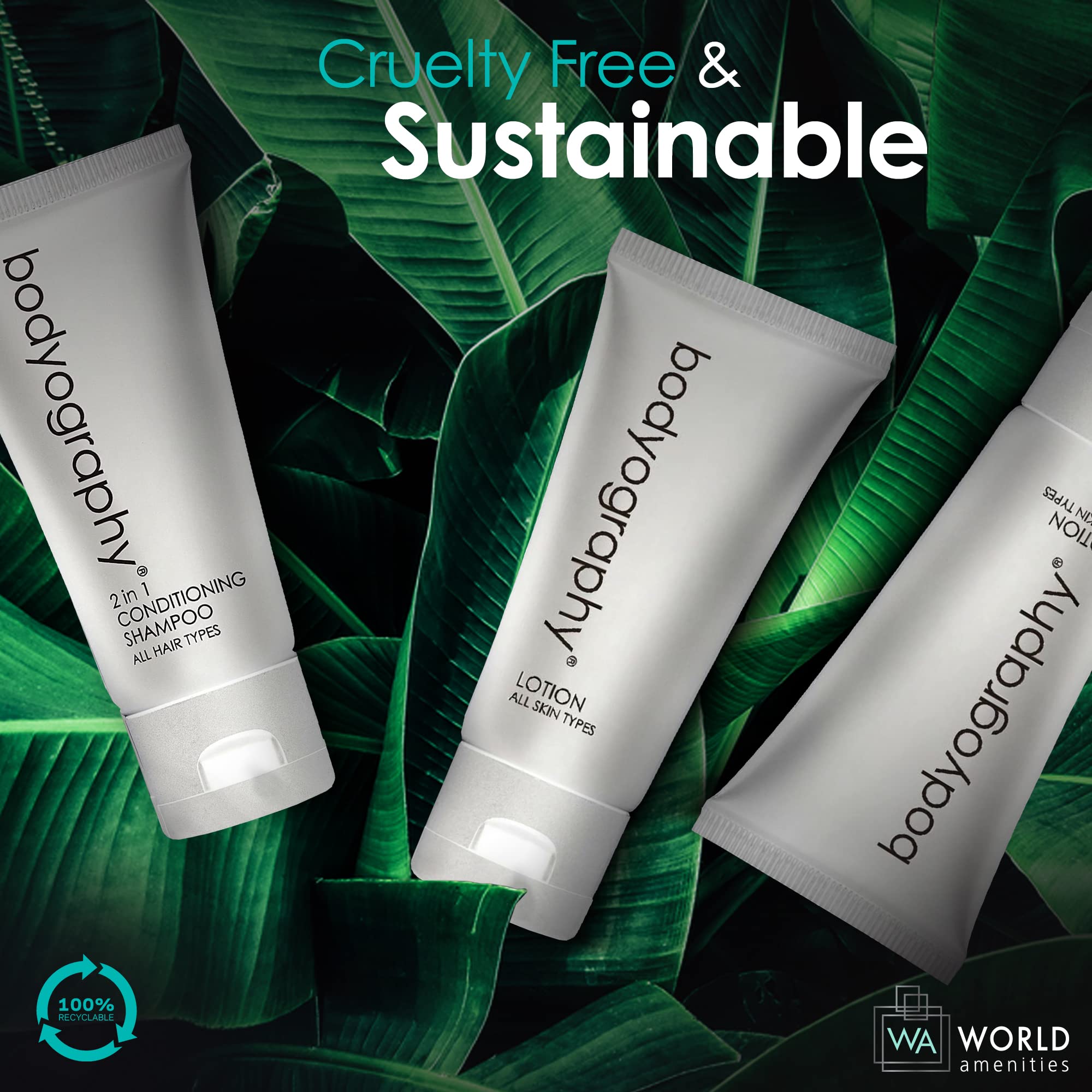World Amenities Bodyography Blanc bulk pack of 50 travel-sized tubes