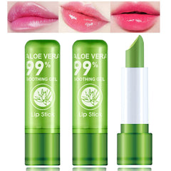 WYBLZPXZ aloe vera lipstick packaging with premium design for gifting and display.