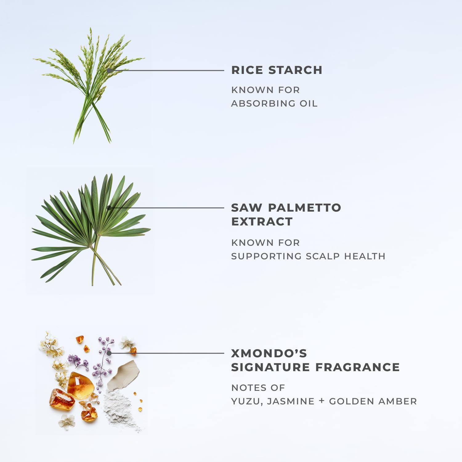 XMONDO Hair BOOST X Dry Shampoo bottle with signature fragrance notes.