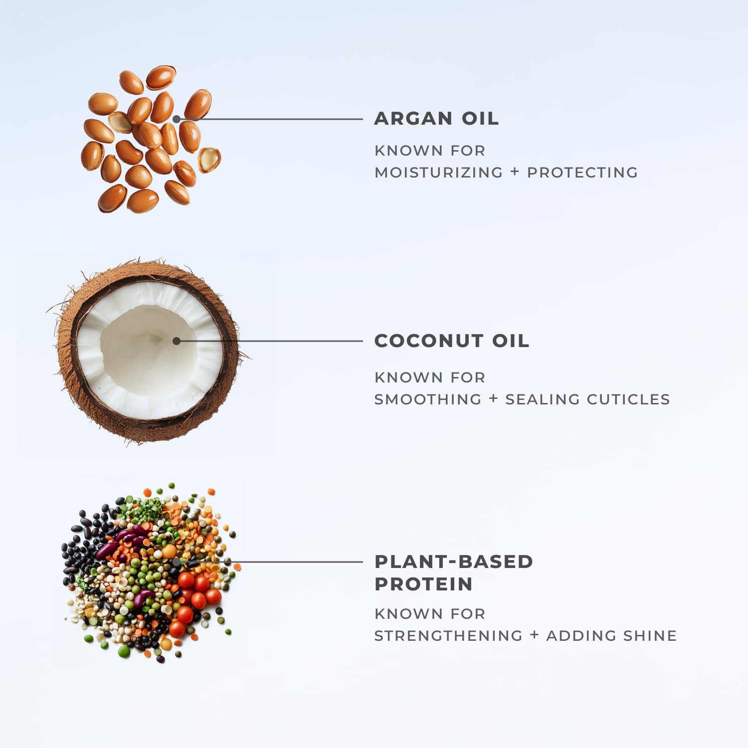 Coconut and argan oils illustration highlighting moisture and nourishment