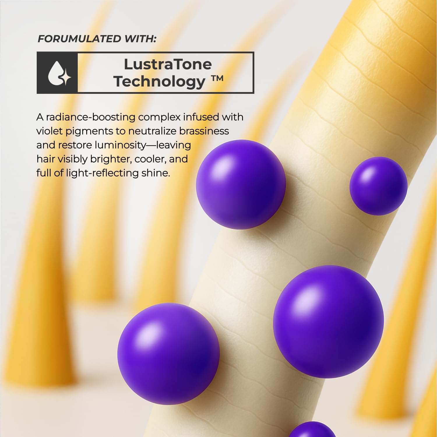 XMONDO bottle emphasizes jojoba oil for deep hydration