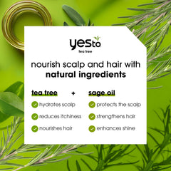 Yes To Tea Tree & Sage Oil Conditioner bottle adds gentle moisture to ends.