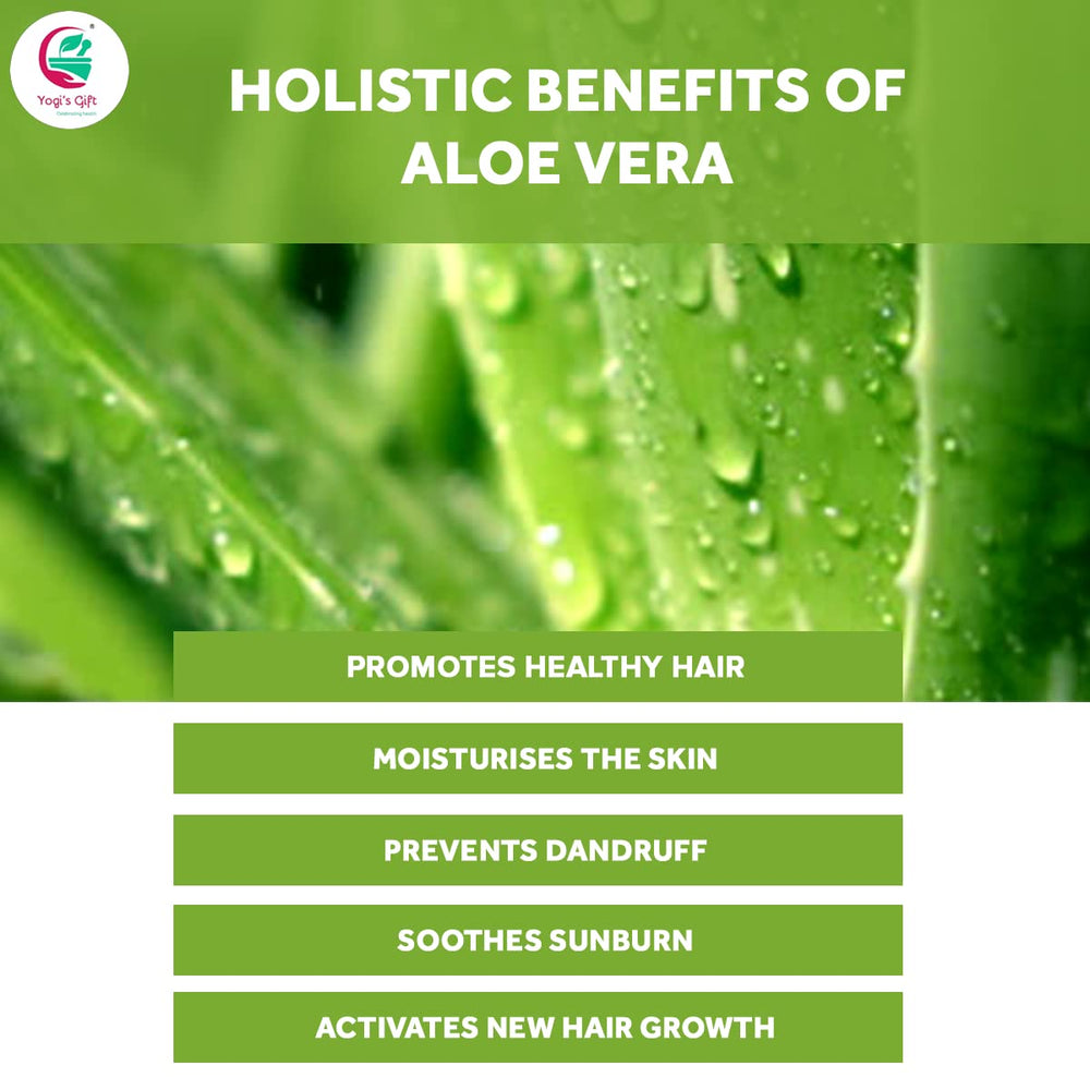 Aloe Vera Powder applied to hair for a nourishing mask