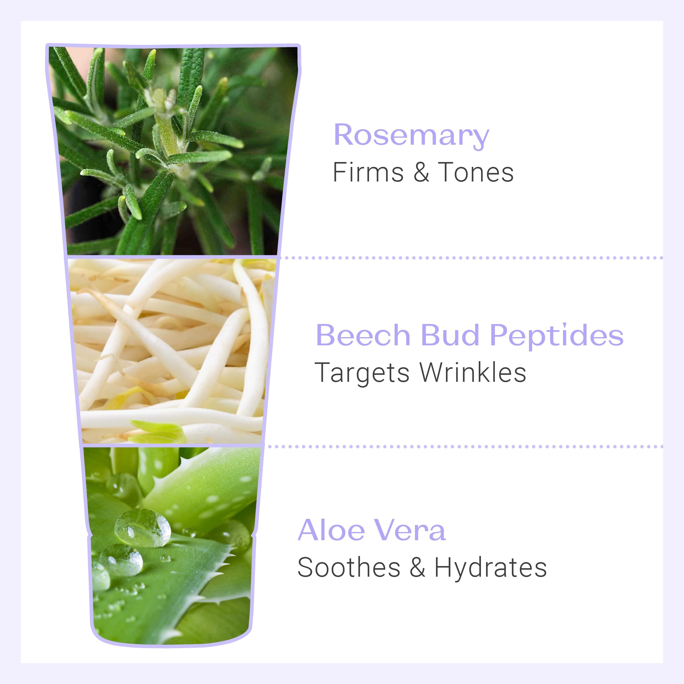 Graphic highlighting rosemary extract and natural actives for eye toning
