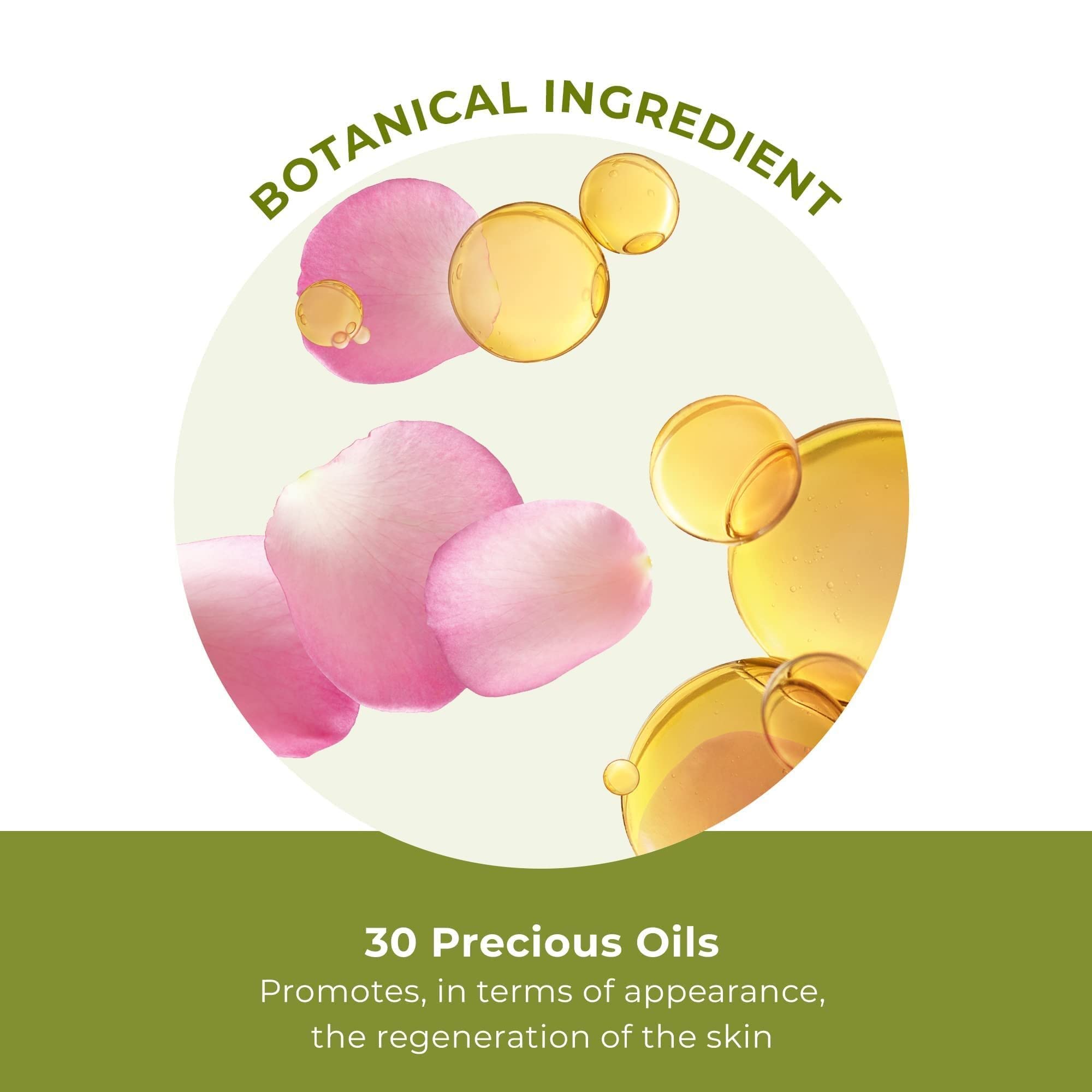 Illustration of Yves Rocher botanicals suggests plant-based nourishment for daily care.