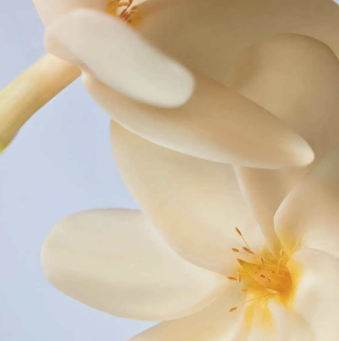Yves Rocher Monoi Tahiti packaging from the summer collection for gifting or personal use.