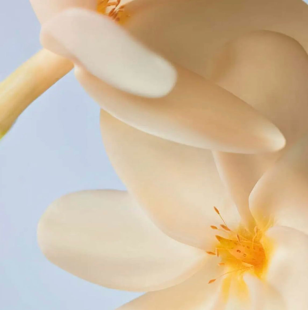 Yves Rocher Monoi Tahiti packaging from the summer collection for gifting or personal use.