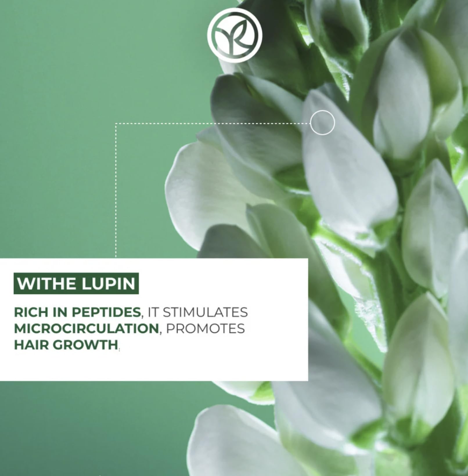 Yves Rocher product packaging set showcases shampoo and conditioner duo