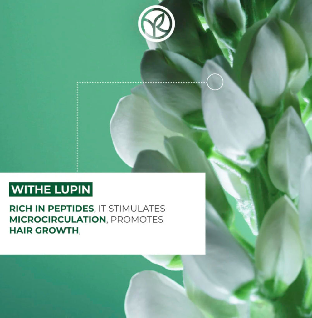 Yves Rocher product packaging set showcases shampoo and conditioner duo
