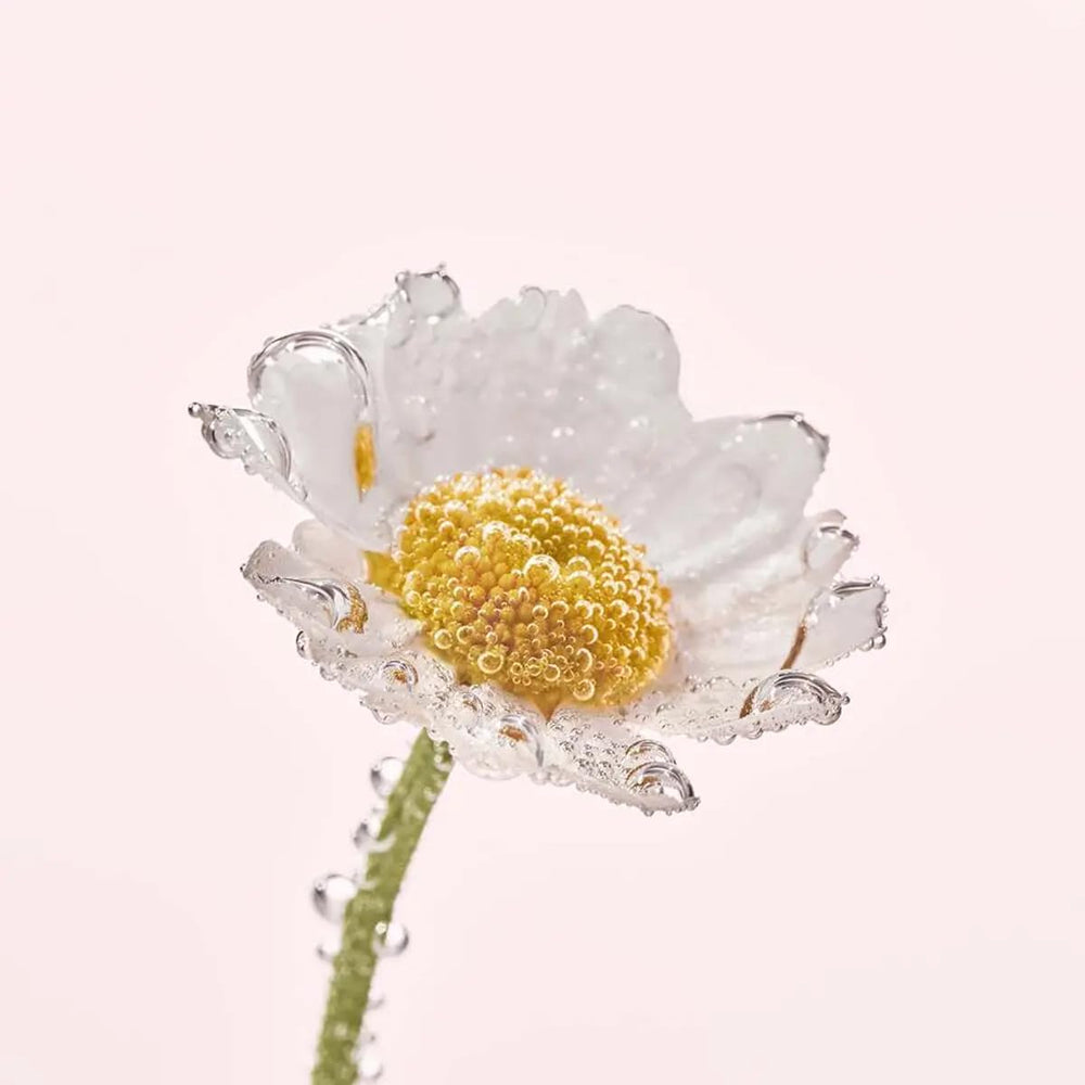Yves Rocher Pure Calmille brand label demonstrates natural origin skincare