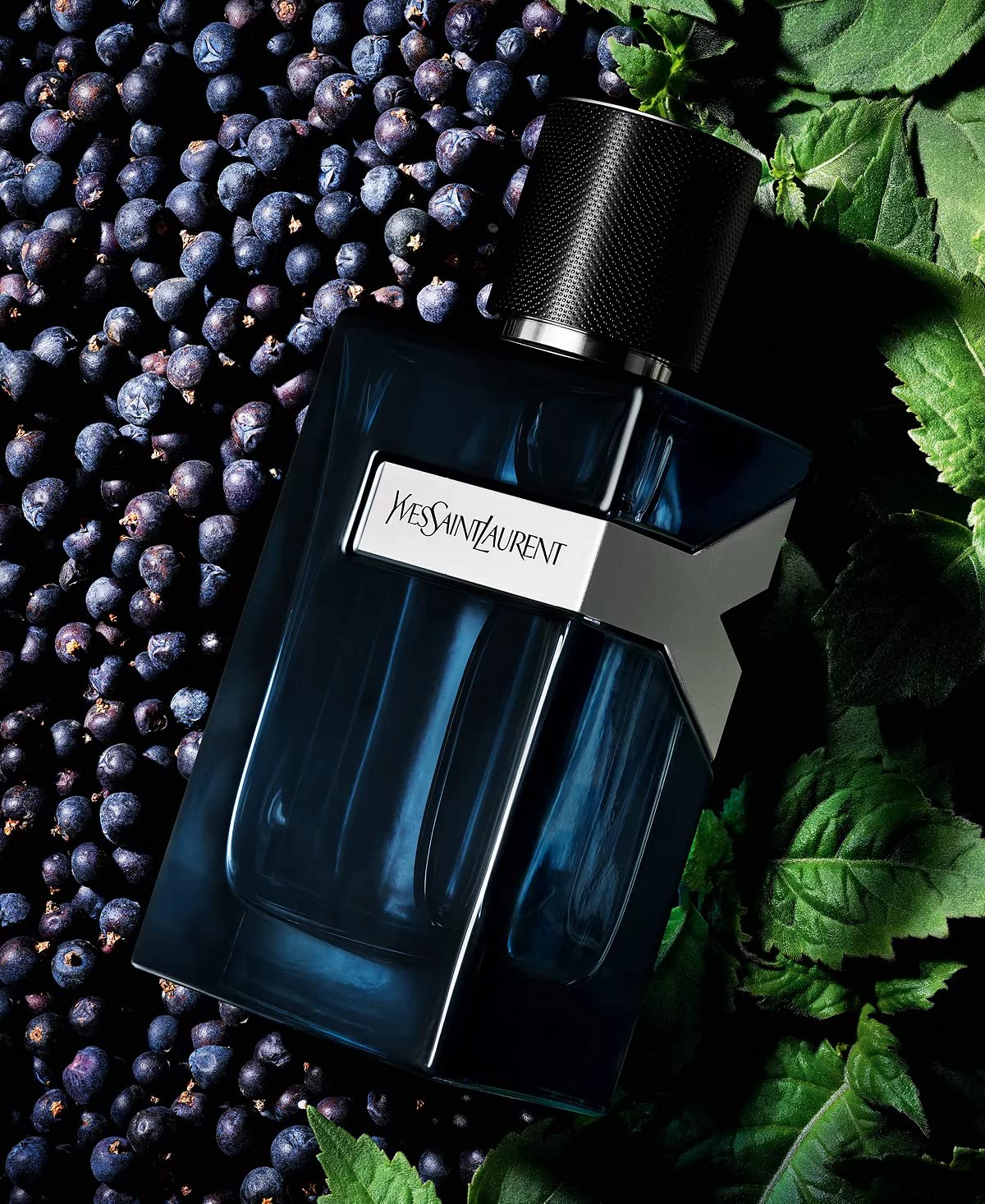 Yves Saint Laurent Y Intense packaging box shown, ideal for gifting