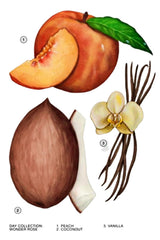 Creamy coconut-vanilla base creates a warm, lasting softness.