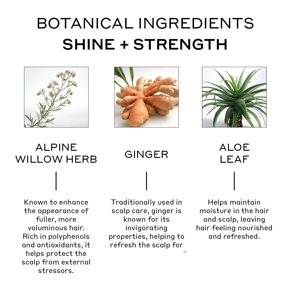 Zenagen Evolve ingredients chart emphasizing amino acids and natural extracts
