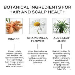 Zenagen Revolve conditioner label close-up highlighting vegan, color-safe ingredients