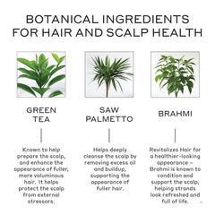 Zenagen Revolve packaging close-up highlights plant-based patented formula