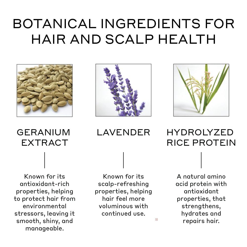 Zenagen Volume Foam hands applying for lift and body