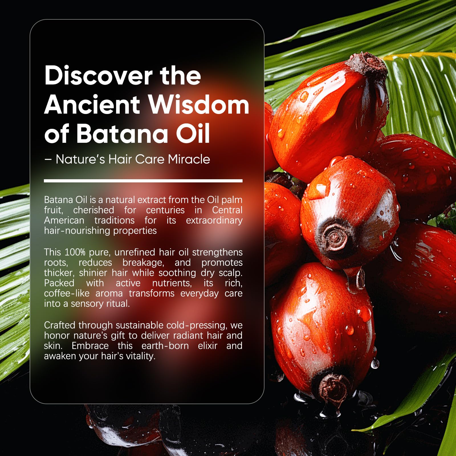 Scalp massage with Batana Oil to promote absorption and nourishment.