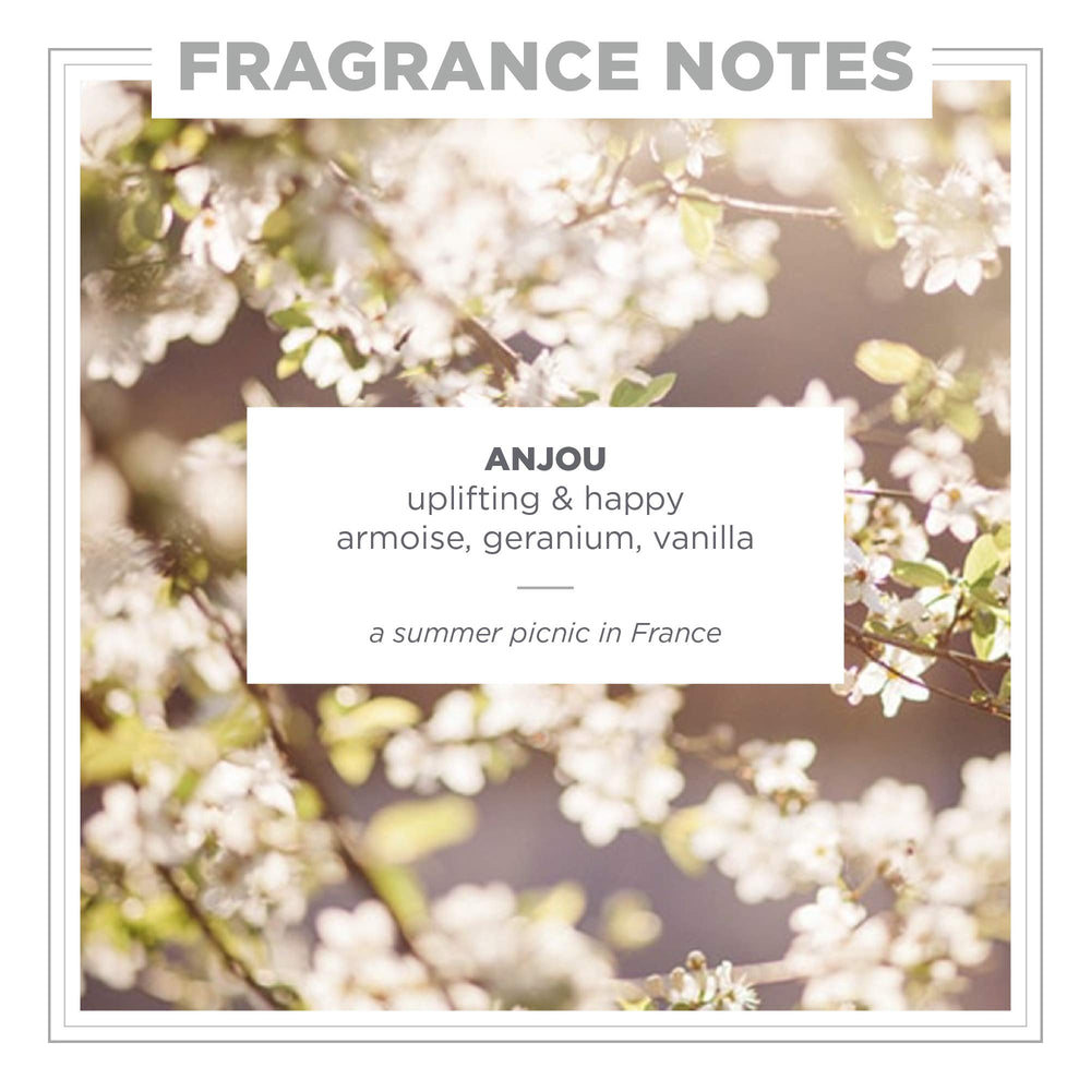 ZENTS Anjou pulse-point application, ready for a personal scent uplift.