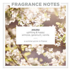 ZENTS Anjou pulse-point application, ready for a personal scent uplift.