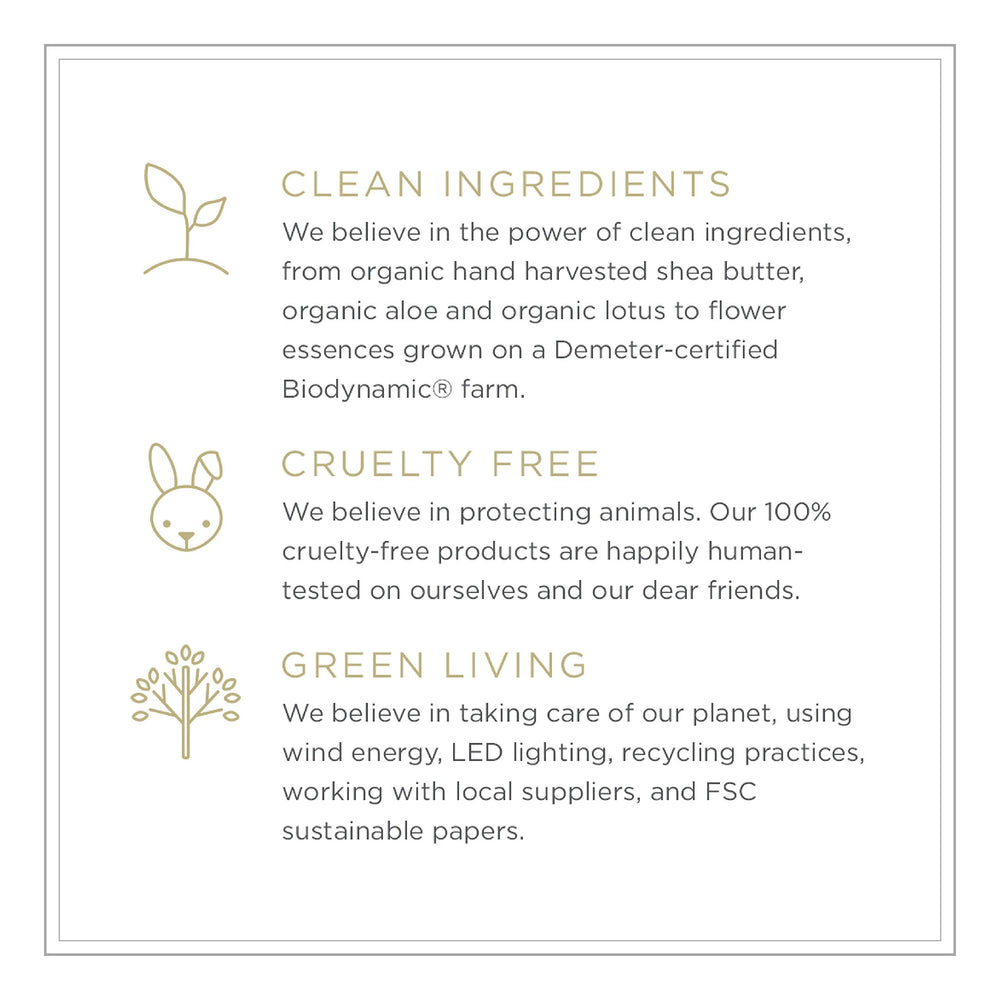 Sustainable packaging of Zents Concreta reflects a green production process