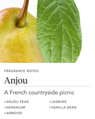 Hands applying Zents Anjou lotion for pampered skin