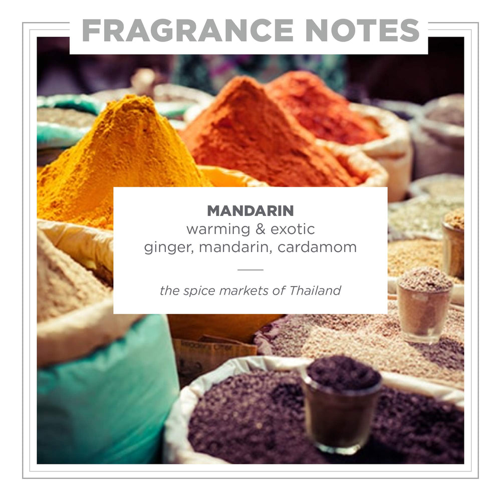 Close-up of Zents Mandarin ginger note highlighting warming, exotic base.