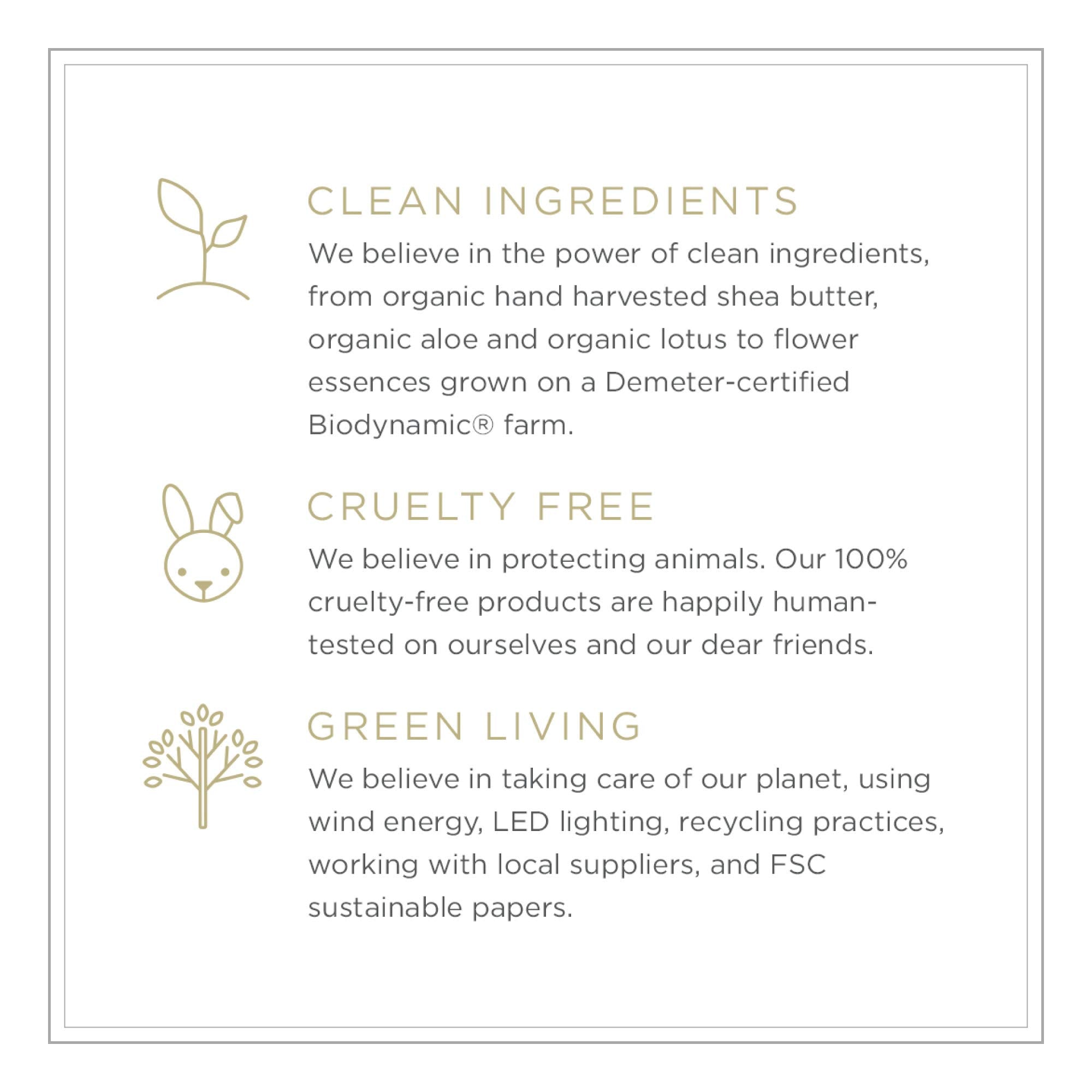 Green packaging and eco-friendly practices by ZENTS brand