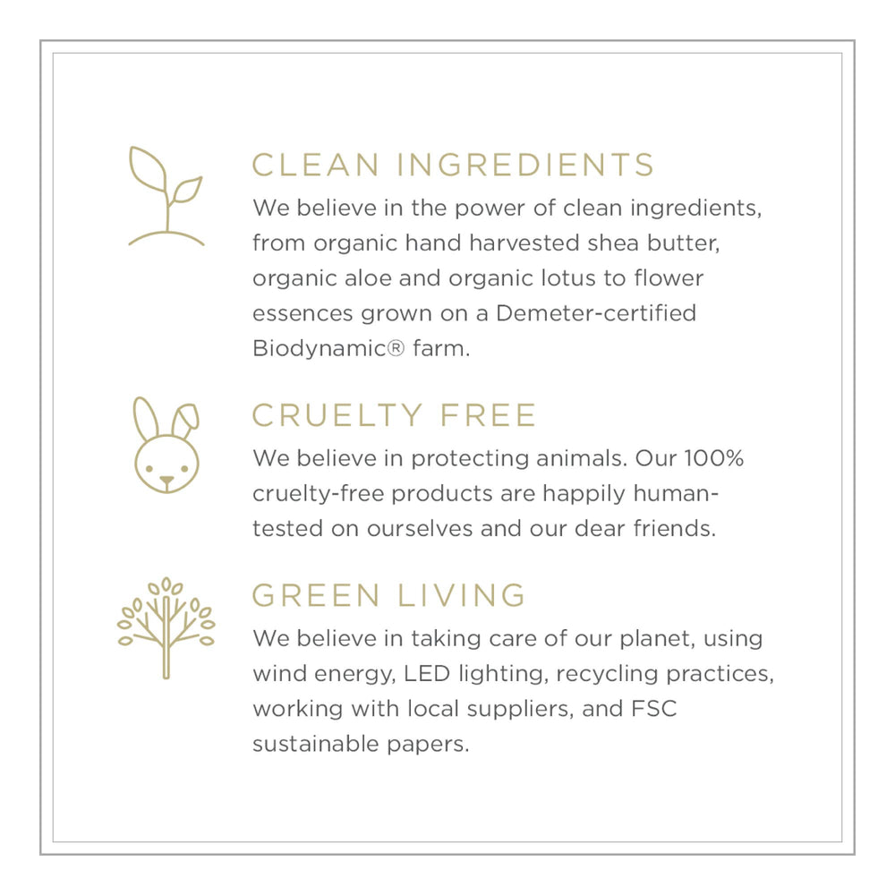 Green packaging and eco-friendly practices by ZENTS brand