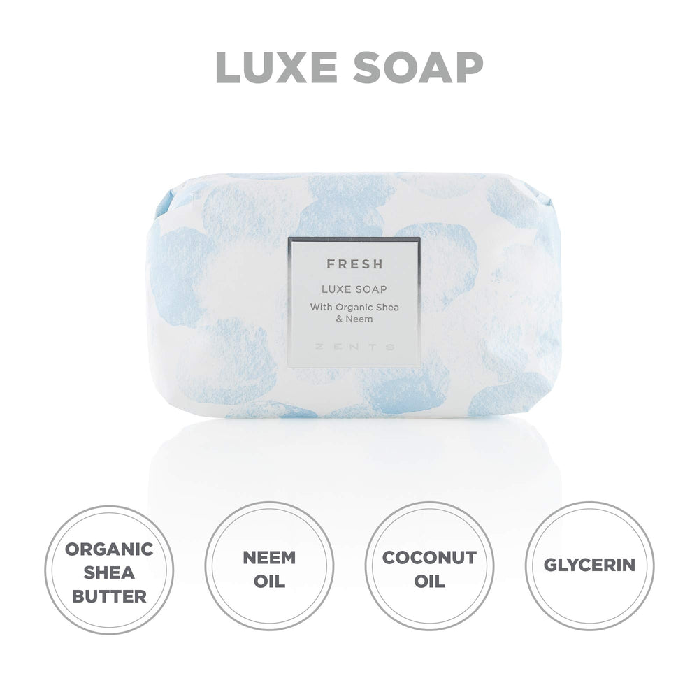 ZENTS fresh fragrance notes of cucumber and linden evoke clean morning routine.